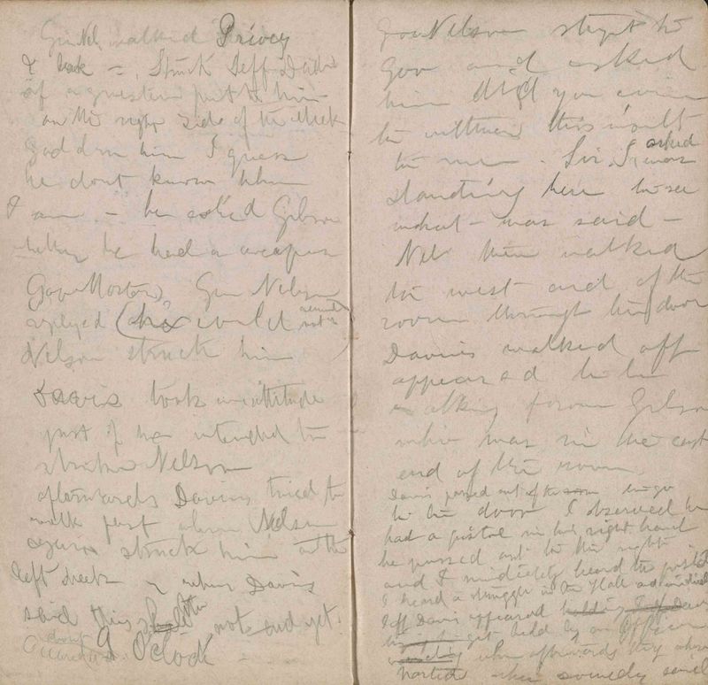 Mosler's diary entry pertaining to General Nelson's murder