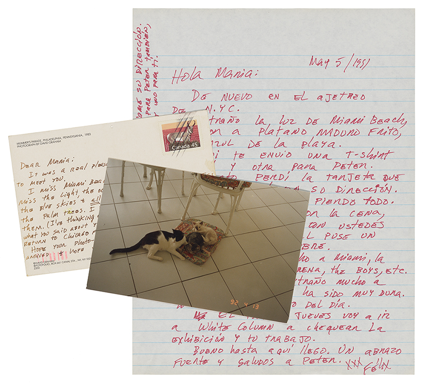 Display of a letter written on blue-striped paper with read ink, a postcard written in brown ink with a canceled Canadian stamp, and a photograph if three cats laying a chair pad from a dining set on a white tiled floor. 